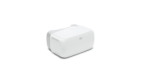 DJI Goggles